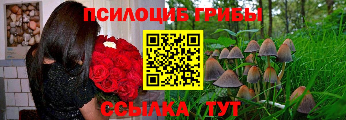 Псилоцибиновые грибы мухоморы Тутаев