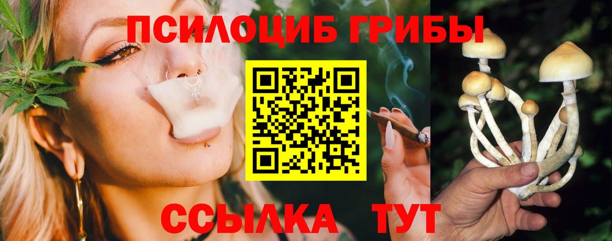 Галлюциногенные грибы ЛСД  Псилоцибиновые грибы GOLDEN TEACHER  Вход с VPN  Тутаев 
